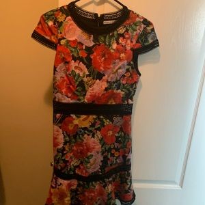 Alice and Olivia dress size 2